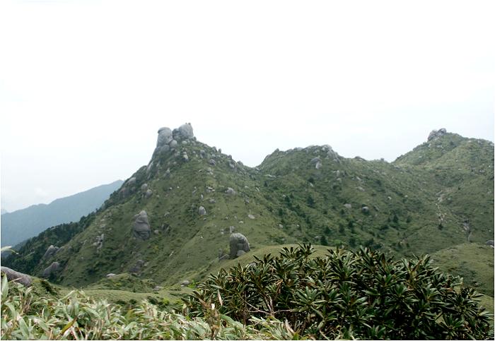 ����ł̈ꎞ���߂������㉺�R�̊J�n�A����ɘI��𒸂��������x�ڑO�ɁE�E�E�E�E