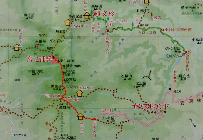 �Ԃ������{�V�Y�o�R�A�ΐ����ꕶ���ւ̎U��ł��B���Ƀs�X�g���Ŗ�Q�O�����A�P�O���Ԃ̕��s�ł�