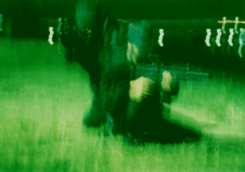image2.gif (56095 oCg)