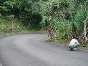 �閾���H�����̃^�R�m�L